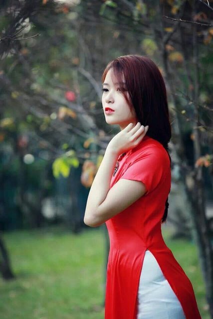 家有仙妻第一部免费观看电视剧